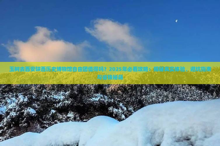 玉树去西安陕西历史博物馆自由团