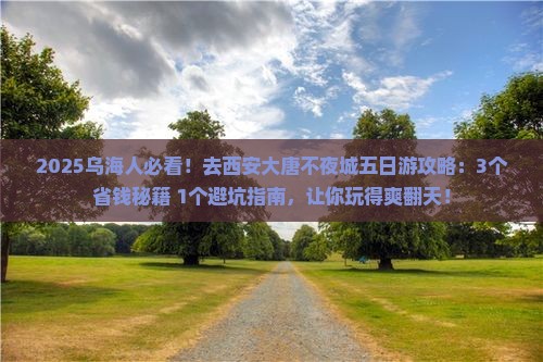 乌海市到西安大唐不夜城五日游