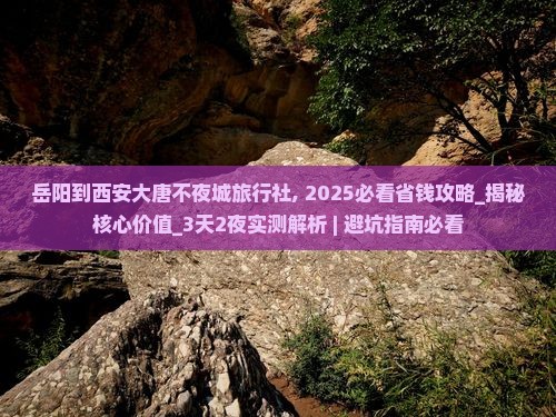 岳阳到西安大唐不夜城旅行社