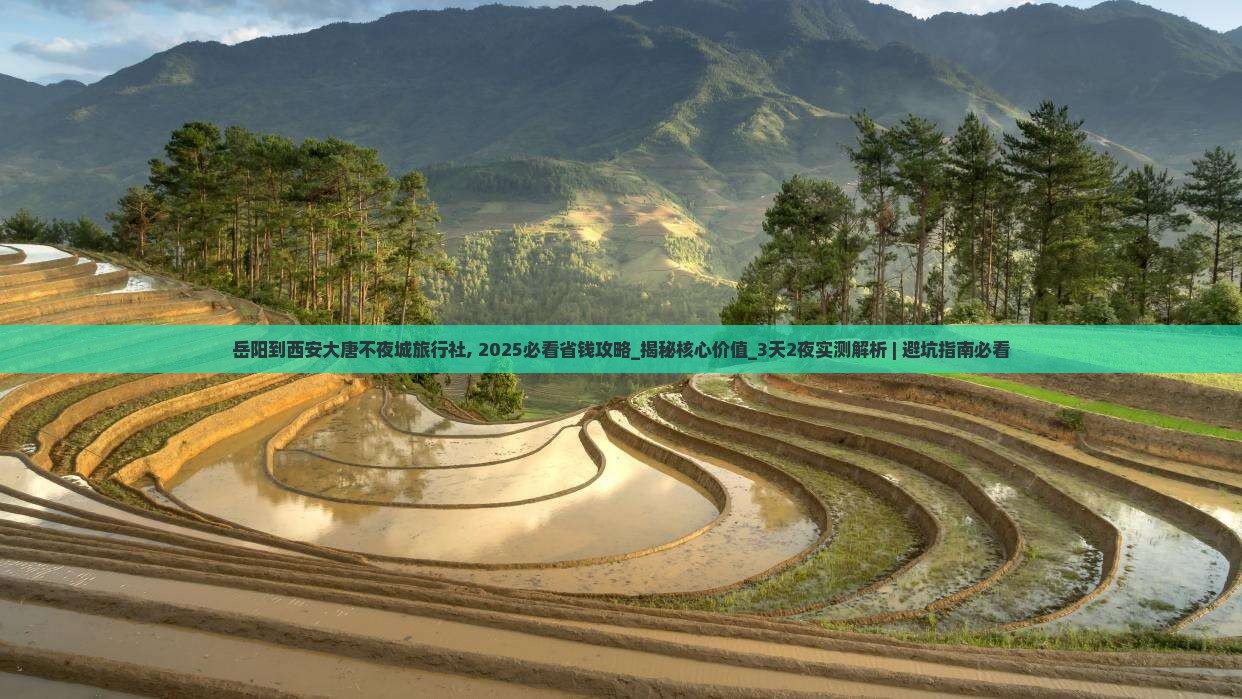 岳阳到西安大唐不夜城旅行社
