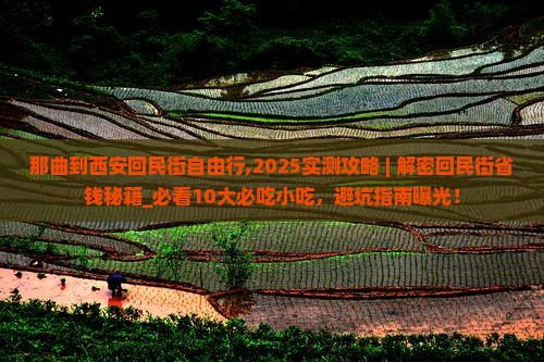 那曲到西安回民街自由行