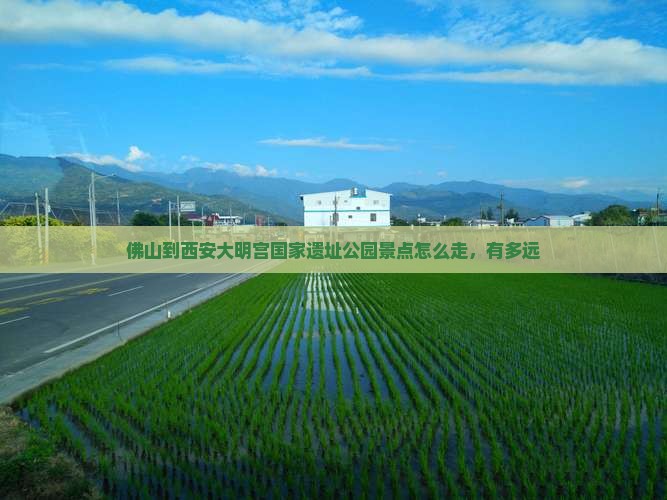佛山到西安大明宫国家遗址公园景点