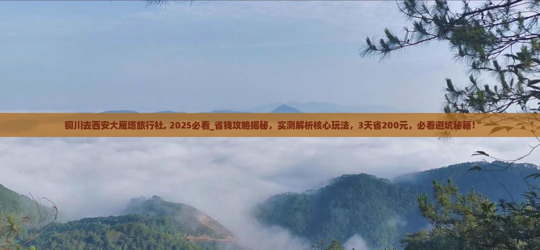 铜川去西安大雁塔旅行社