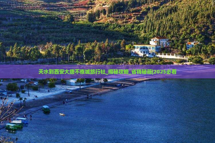 天水到西安大唐不夜城旅行社