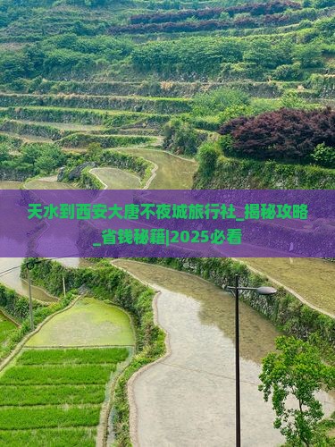 天水到西安大唐不夜城旅行社