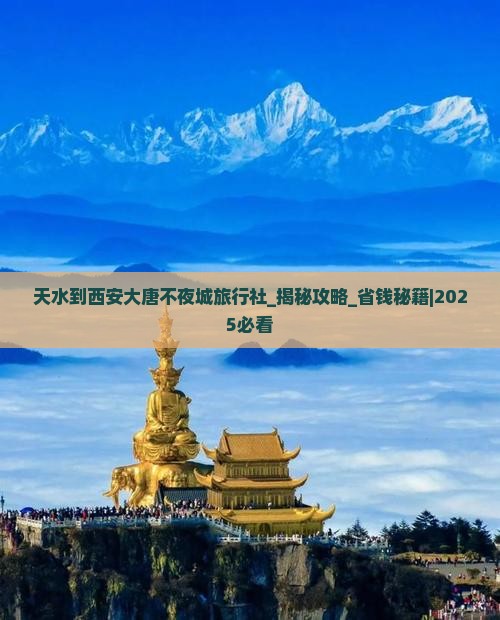 天水到西安大唐不夜城旅行社