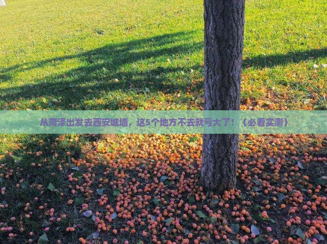 菏泽去西安城墙必去地