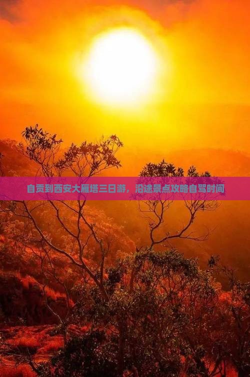 自贡到西安大雁塔三日游