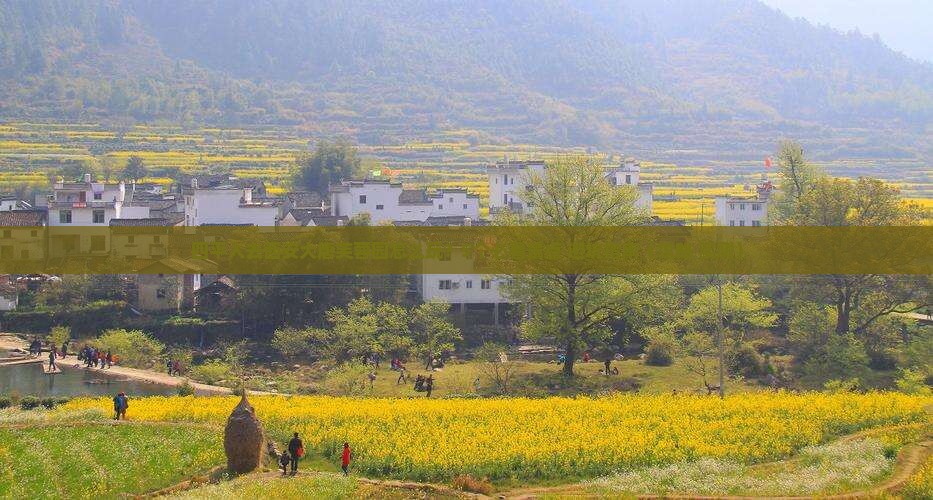 四平去西安大唐芙蓉园团体旅游