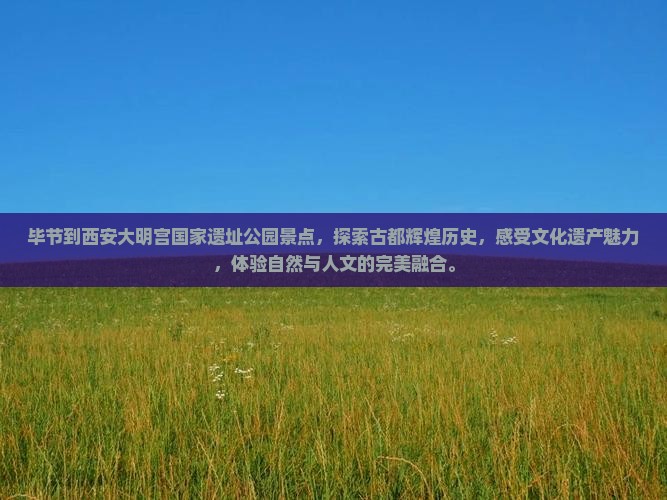 毕节到西安大明宫国家遗址公园景点