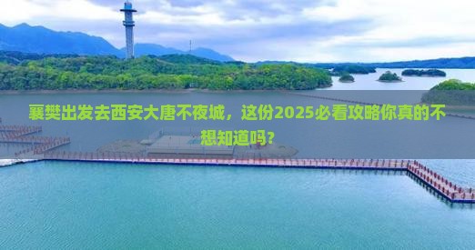襄樊去西安大唐不夜城旅游