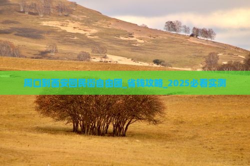 周口到西安回民街自由团