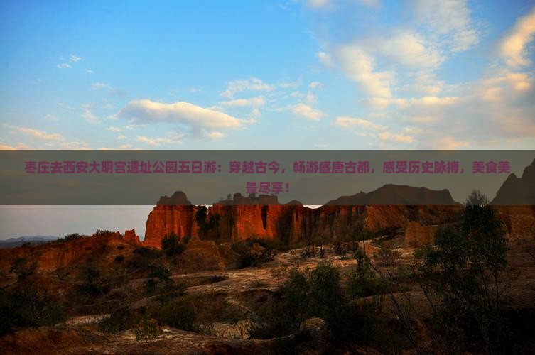 枣庄去西安大明宫国家遗址公园五日游