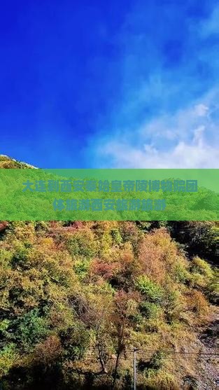 大连到西安秦始皇帝陵博物院团体旅游