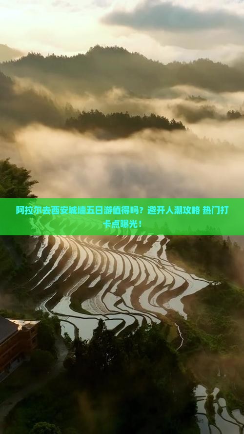 阿拉尔去西安城墙五日游