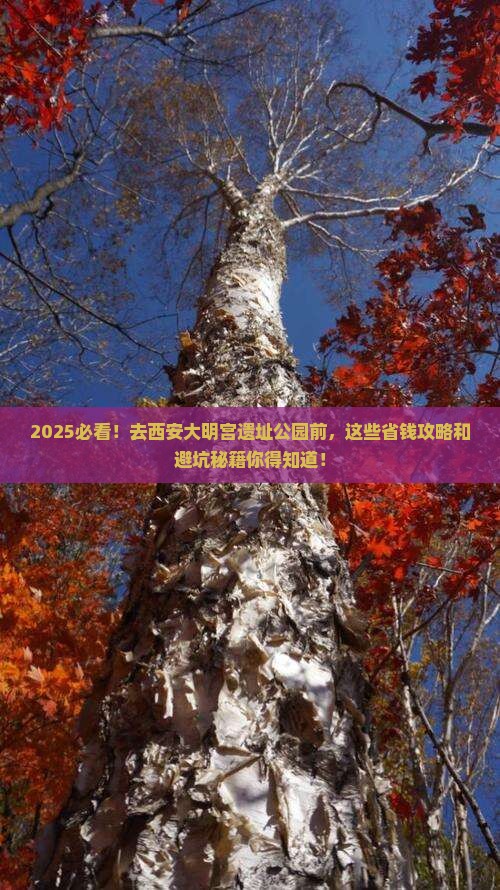 海南去西安大明宫国家遗址公园必去地