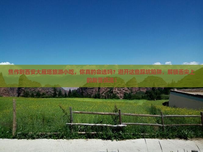 焦作到西安大雁塔旅游小吃