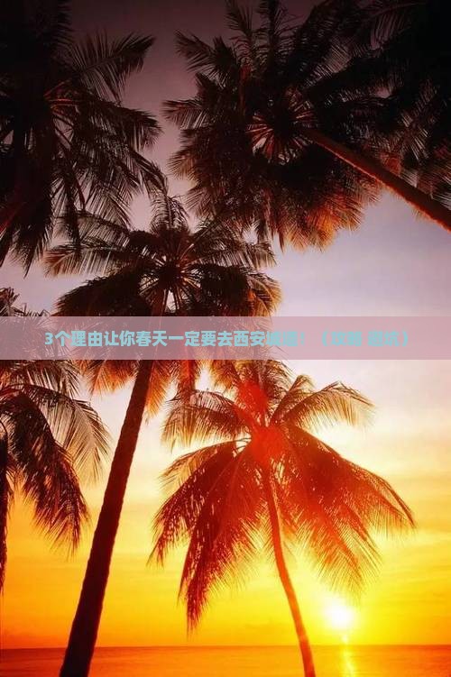 春天去西安城墙旅游