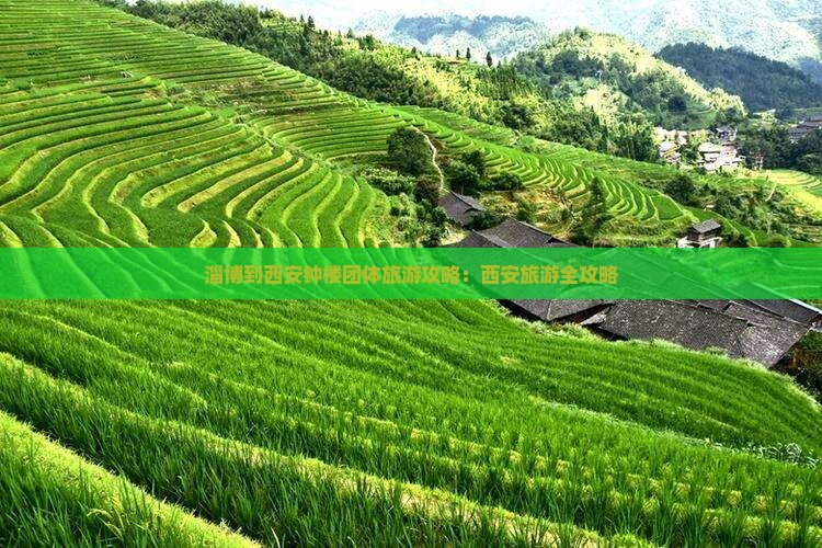 淄博到西安钟楼团体旅游