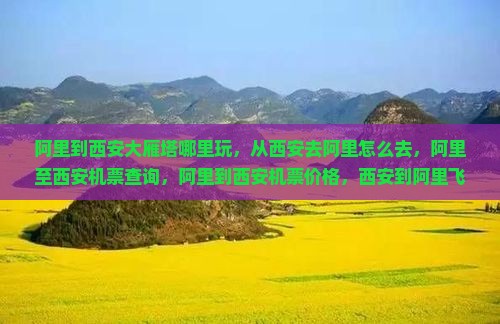 阿里到西安大雁塔哪里玩