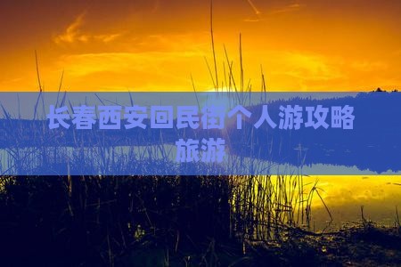 长春去西安回民街个人游