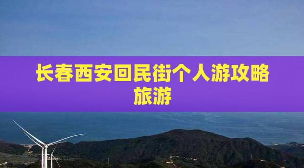 长春去西安回民街个人游