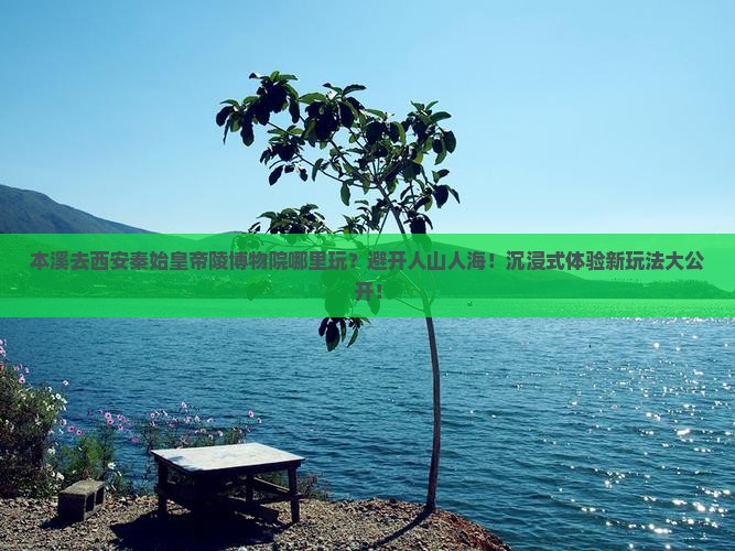 本溪去西安秦始皇帝陵博物院哪里玩