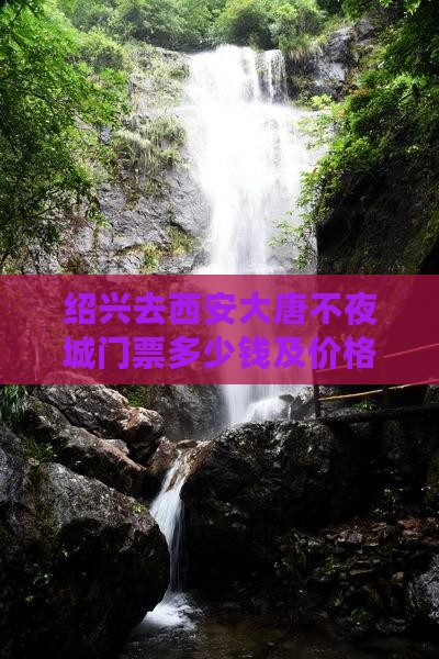 绍兴去西安大唐不夜城门票