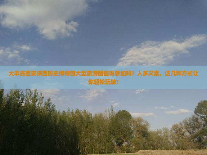 大丰去西安陕西历史博物馆大型旅游团