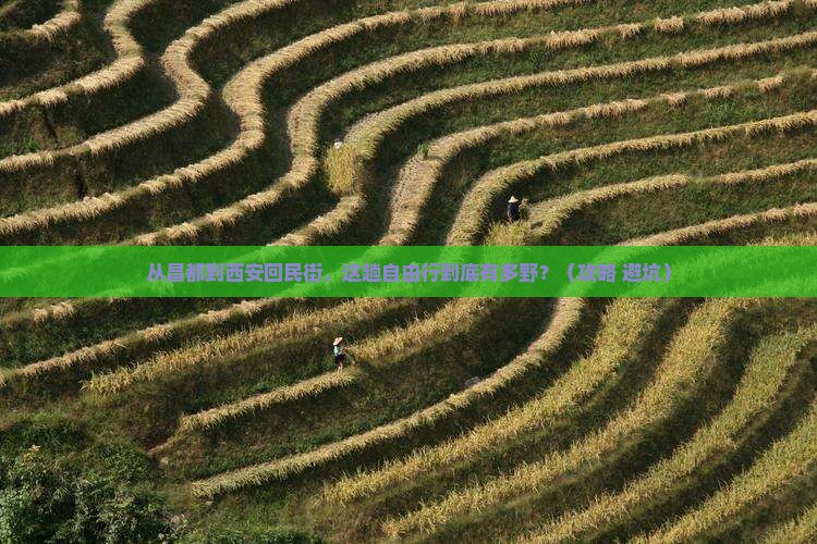 昌都去西安回民街自由行