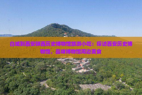 白城到西安陕西历史博物馆旅游小吃