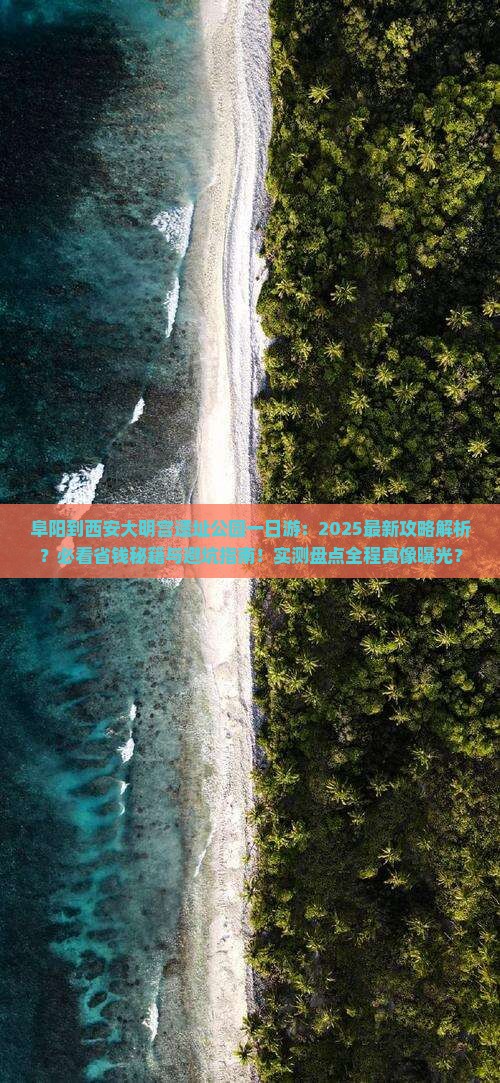 阜阳到西安大明宫国家遗址公园一日游