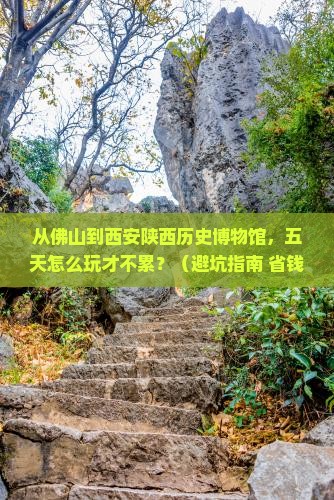 佛山到西安陕西历史博物馆五日游