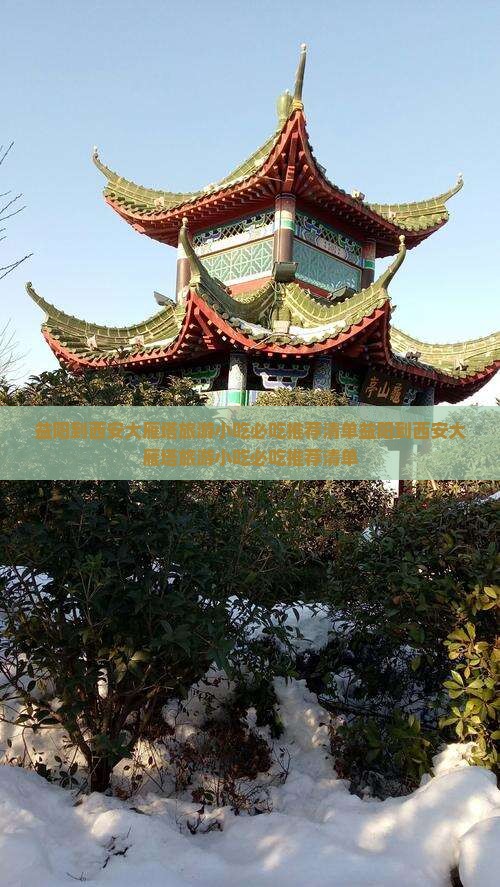 益阳到西安大雁塔旅游小吃