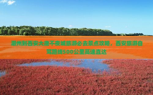 潮州到西安大唐不夜城必去地