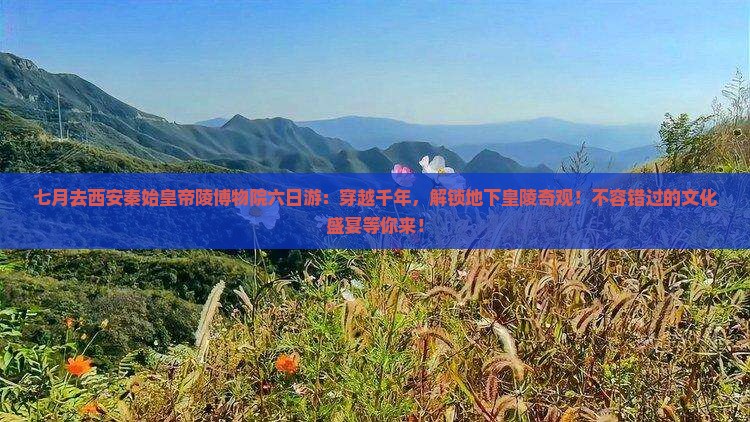 七月去西安秦始皇帝陵博物院六日游