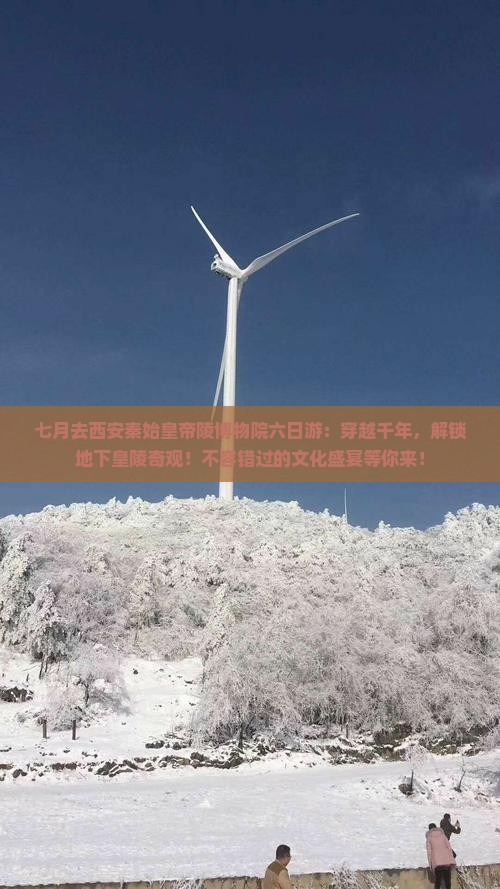 七月去西安秦始皇帝陵博物院六日游