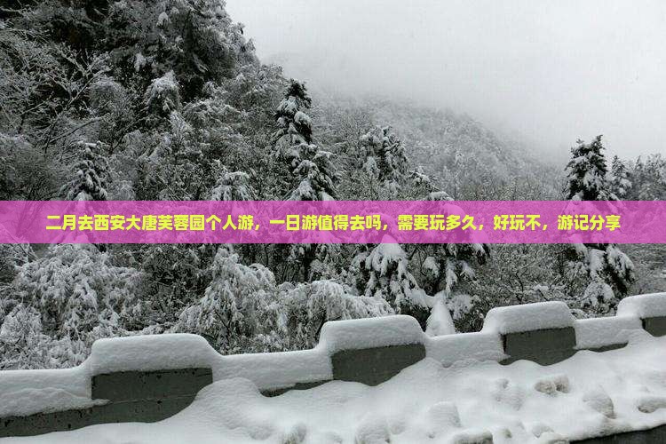 二月去西安大唐芙蓉园个人游