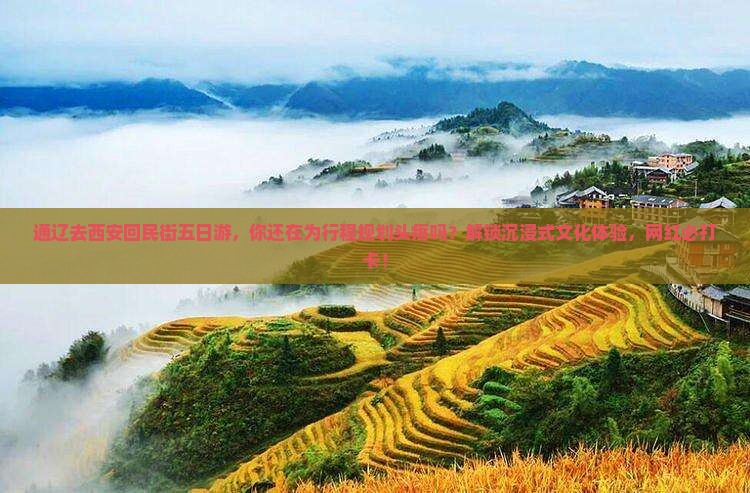 通辽去西安回民街五日游