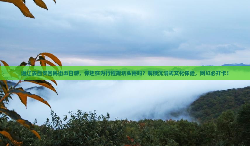 通辽去西安回民街五日游