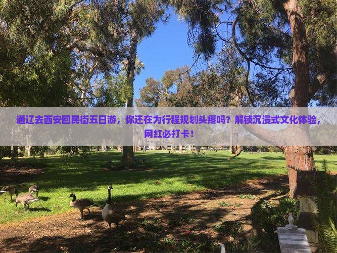 通辽去西安回民街五日游