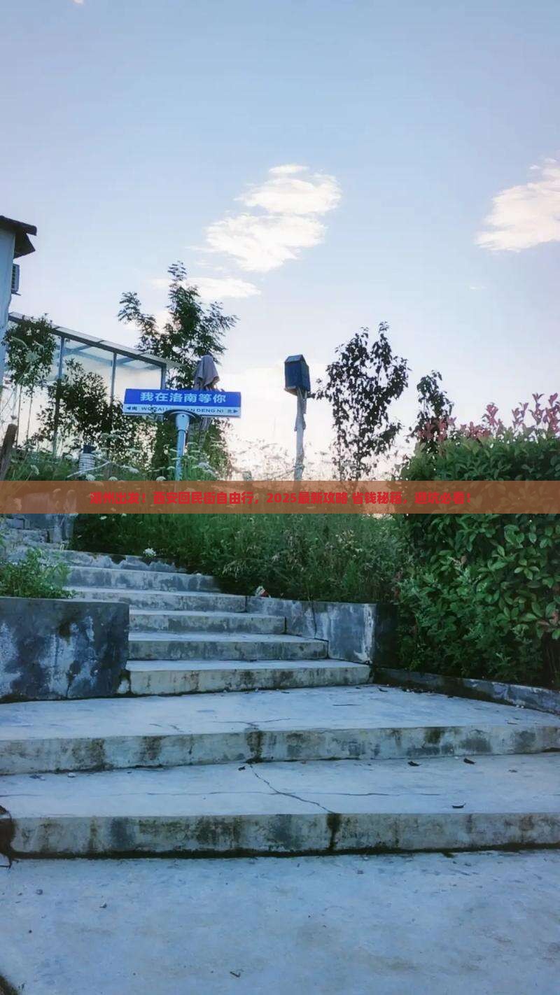 湖州去西安回民街自由团