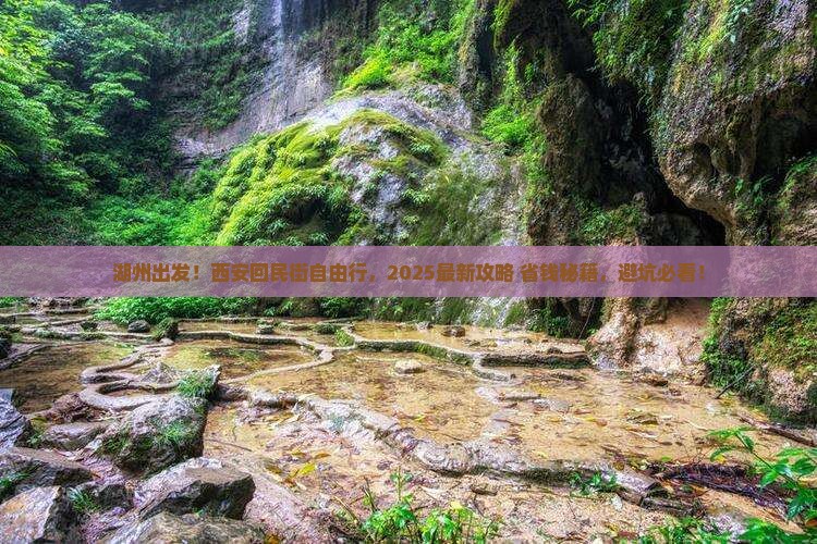 湖州去西安回民街自由团