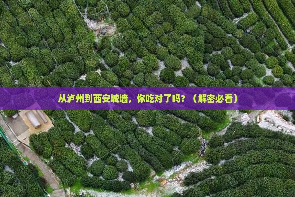 泸州到西安城墙旅游小吃