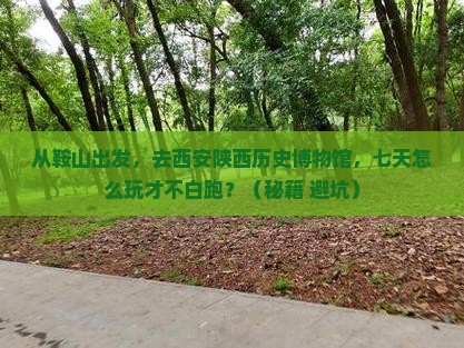 鞍山去西安陕西历史博物馆七日游