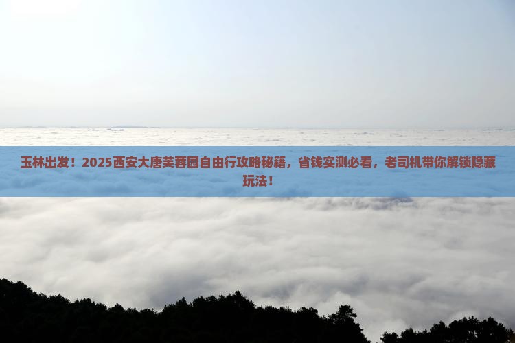 玉林去西安大唐芙蓉园自由团