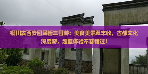 铜川去西安回民街三日游