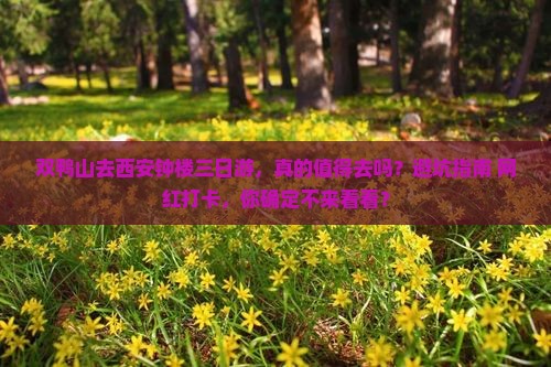 双鸭山去西安钟楼三日游