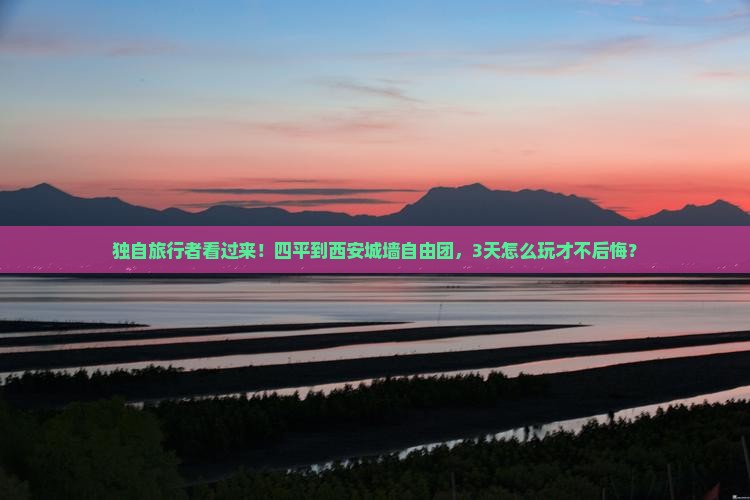 四平到西安城墙自由团