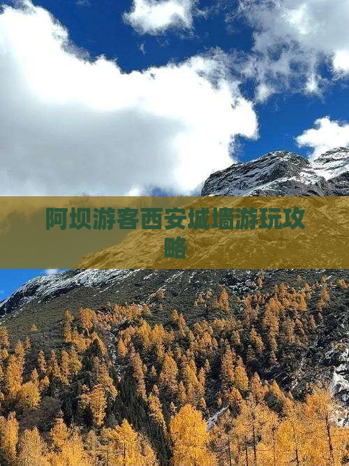 阿坝去西安城墙哪里玩